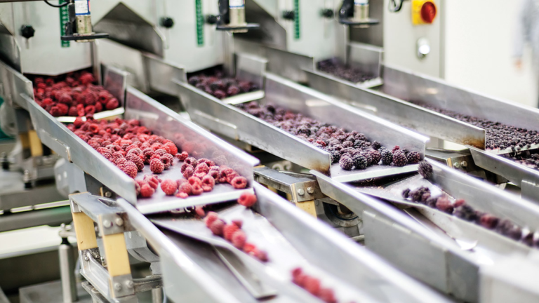 O Básico: Lubrificação no Processamento de Alimentos